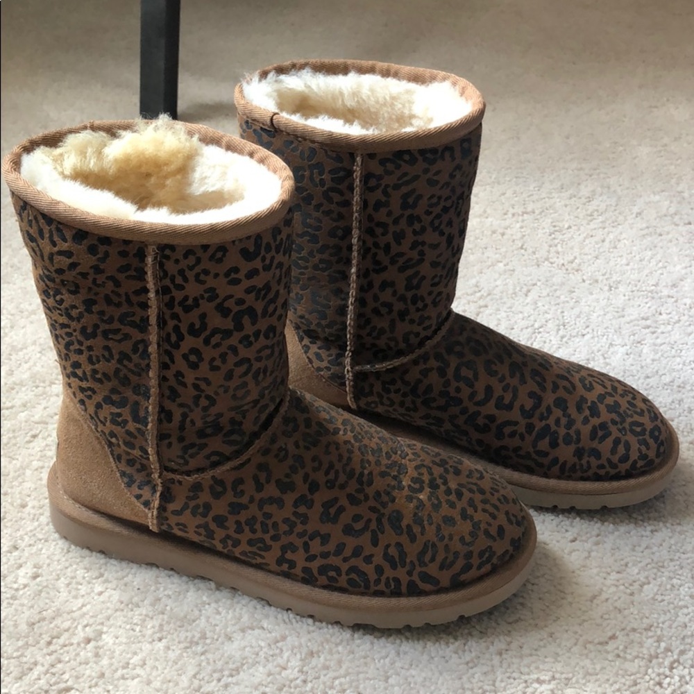 Leopard Uggs